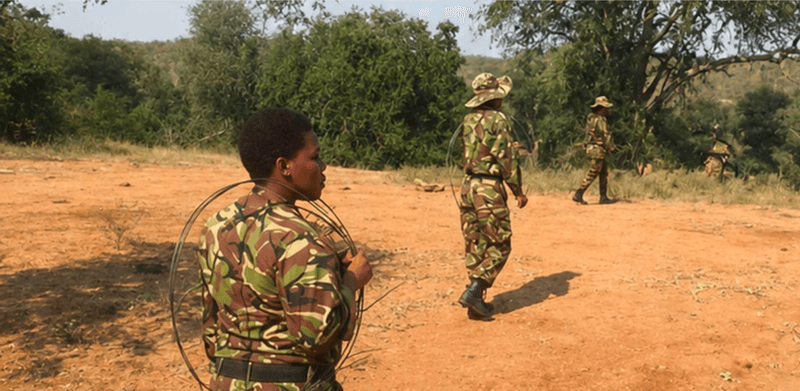 Wildlife Ranger Challenge 2026