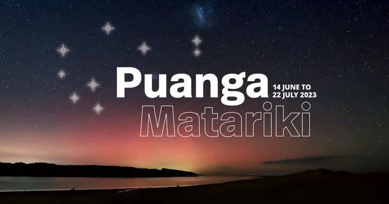 Matariki Swim Challenge 2025