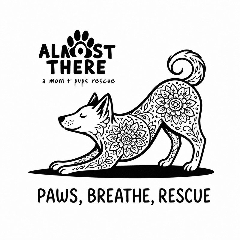 Paws, Breathe, Rescue 2026