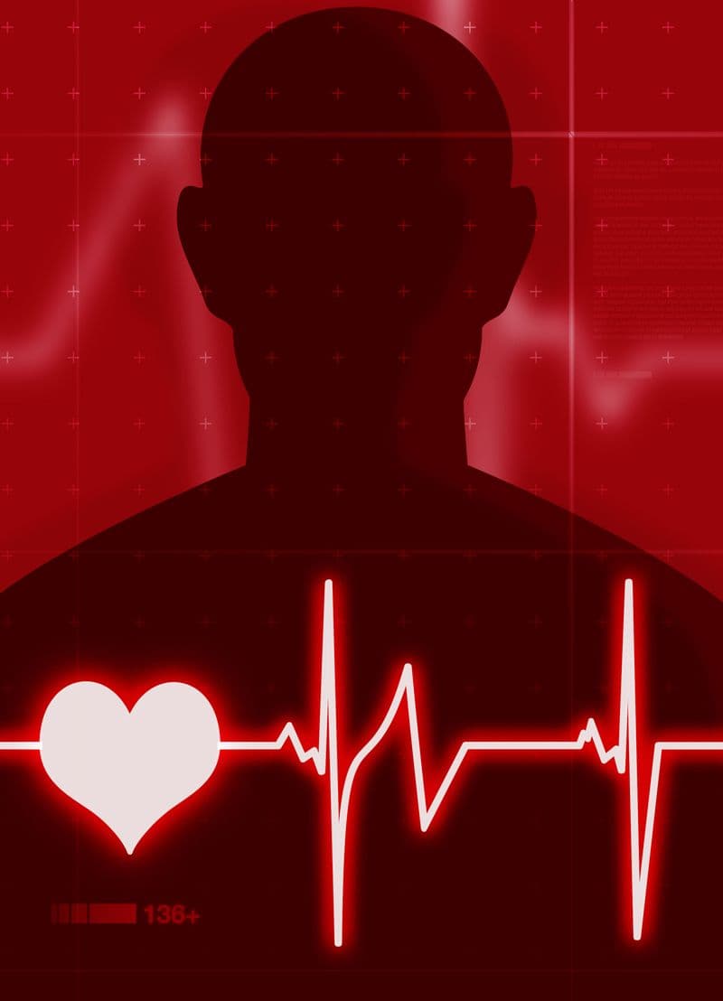 Exercise Your Audience vol 2